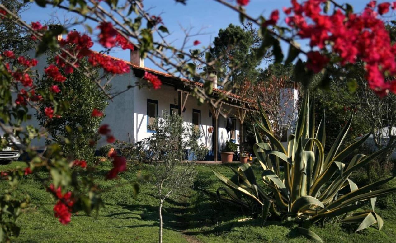 Monte Da Choca Guest House เซาเตโอโตนิโอ ภายนอก รูปภาพ
